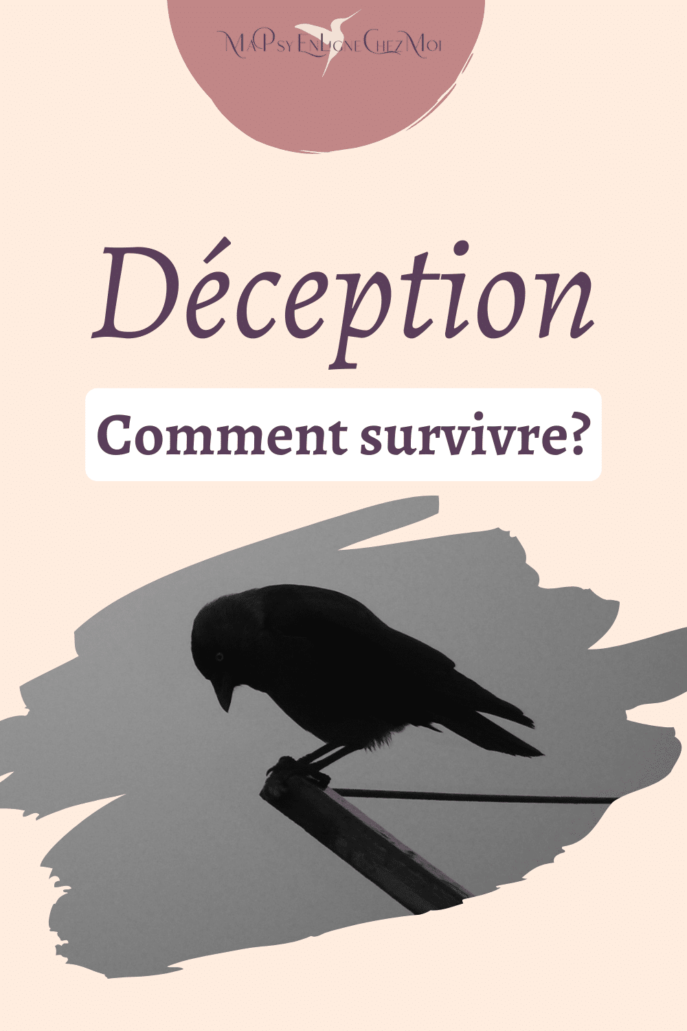 comment-survire-a-la-deception