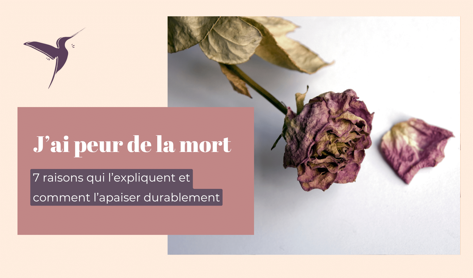 J’ai peur de la mort : 7 raisons qui l’expliquent et comment l’apaiser ...